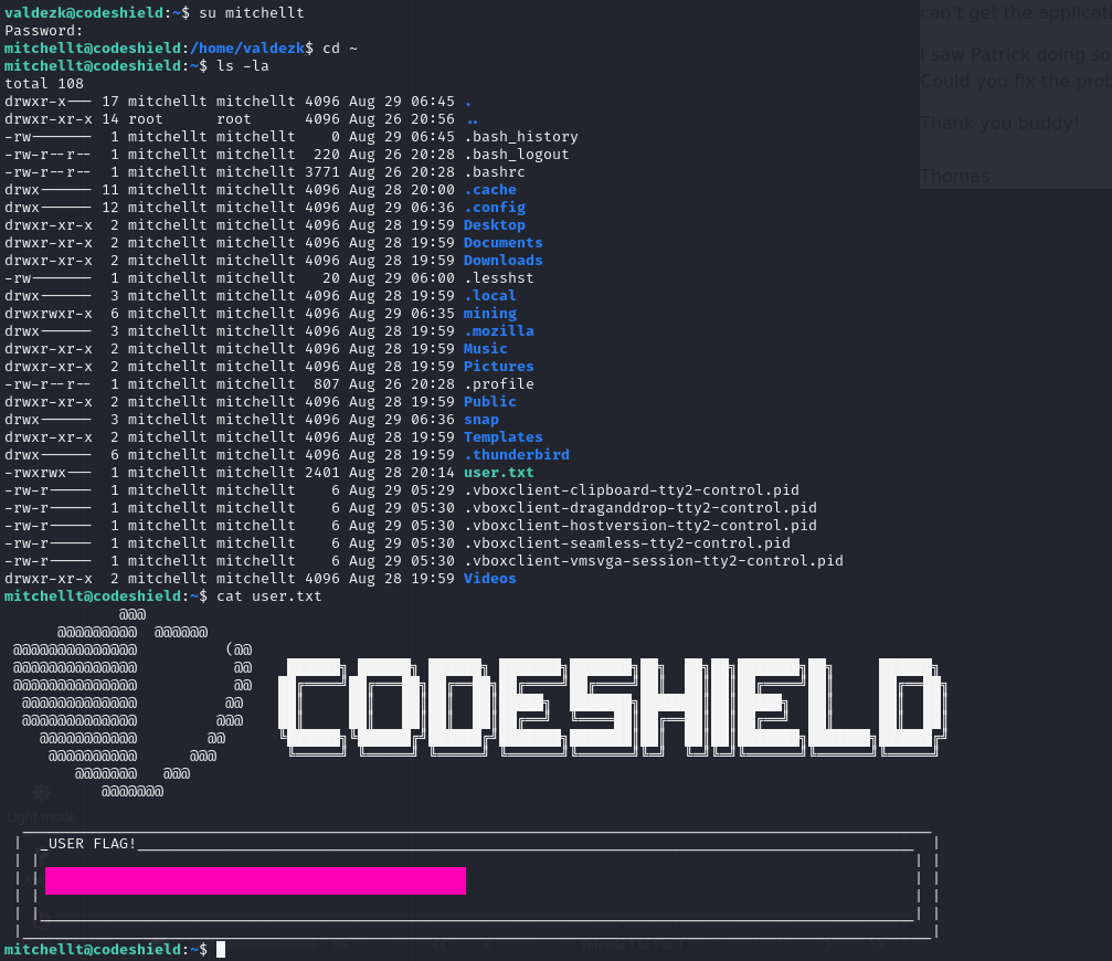 Write-up CodeShield on HackMyVM | eMVee